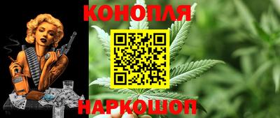 гашик Брянск