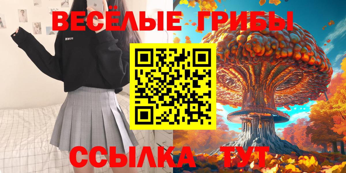 Новодвинск  Галлюциногенные грибы Magic Shrooms  где можно купить   Вход с VPN 