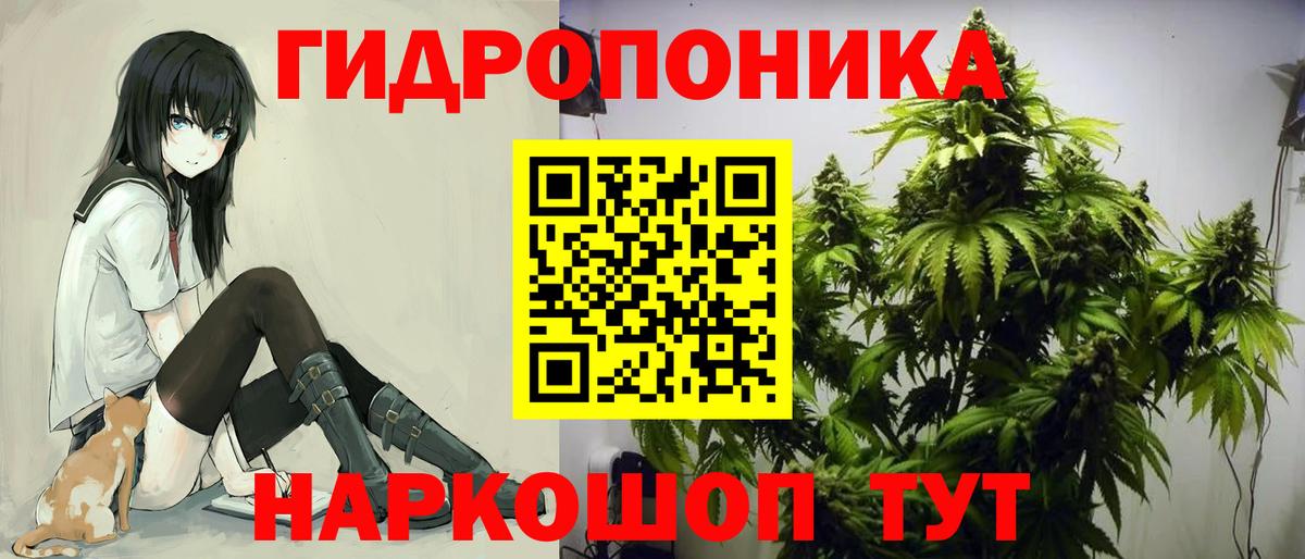 Бошки Шишки White Widow Новодвинск